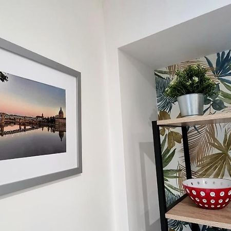 Studio Simone - Terrasse Et Jardin - Tv - Wifi Toulouse Ngoại thất bức ảnh