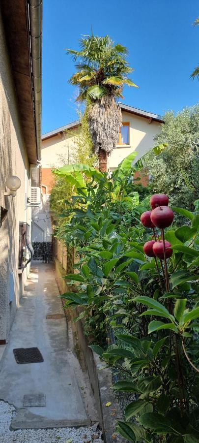 Studio Simone - Terrasse Et Jardin - Tv - Wifi Toulouse Ngoại thất bức ảnh