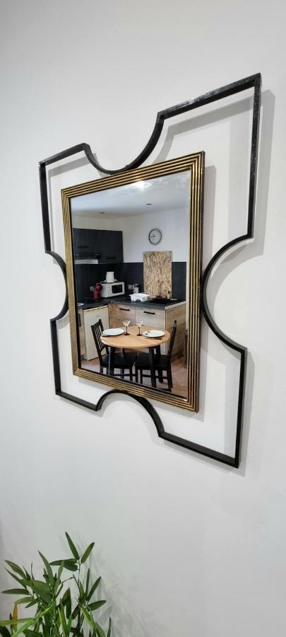 Studio Simone - Terrasse Et Jardin - Tv - Wifi Toulouse Ngoại thất bức ảnh