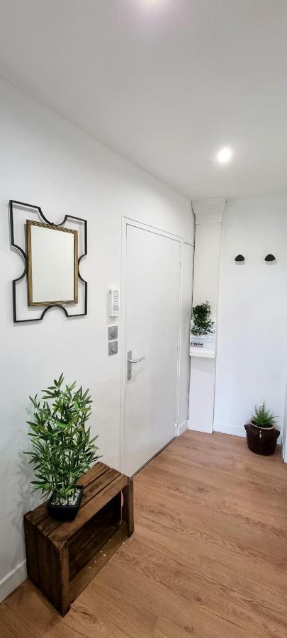 Studio Simone - Terrasse Et Jardin - Tv - Wifi Toulouse Ngoại thất bức ảnh