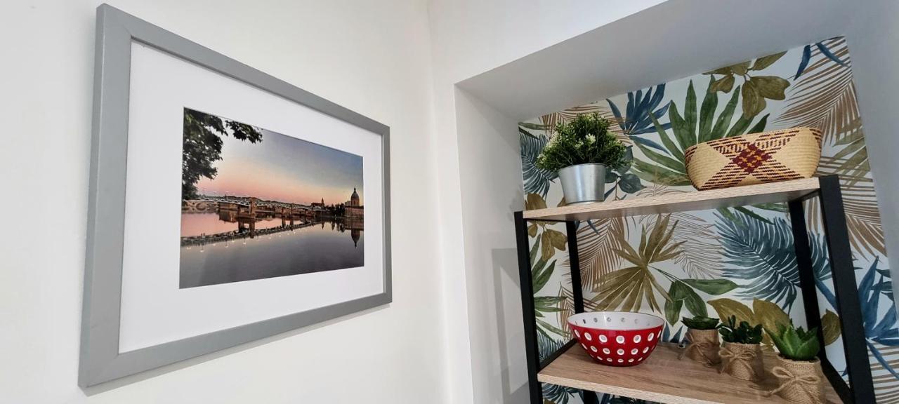 Studio Simone - Terrasse Et Jardin - Tv - Wifi Toulouse Ngoại thất bức ảnh